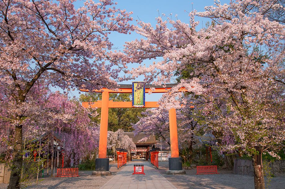 ⛩️ 귤 신사(타치바나 진자)